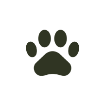 Pet Friendly - Inala Country Retreat Daylesford